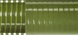 Spiralite 113 Spiralite 113