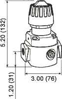 Wilkerson High Pressure Compact Regulator