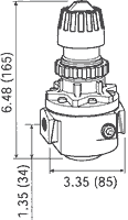 Wilkerson High Pressure Standard Regulator