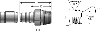 C14 Coupling