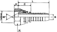 BSP Swivel Female