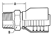 BSP Male