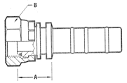 BSP Female O Ring Type