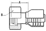 BSP Flat Face Female