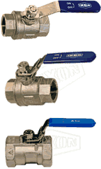 Dixon Stainless Steel Ball Valves