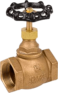 Series 4101 Bronze Globe Valve