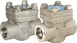 Series 24836 316L Stainless Steel Piston Check Valve