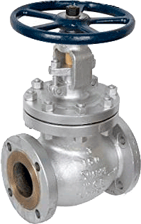 Series 45114 Cast Steel 150 lb. Flanged Globe Valve