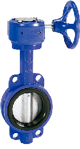 Series 160 Cast Iron Body Butterfly Valve